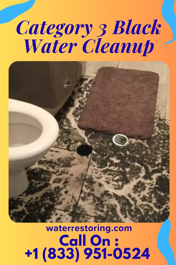Category 3 Black Water Cleanup in Greenback, TN