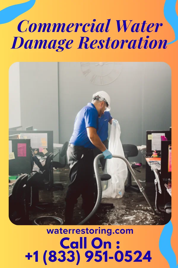 Commercial Water Damage Restoration in Greenback, TN