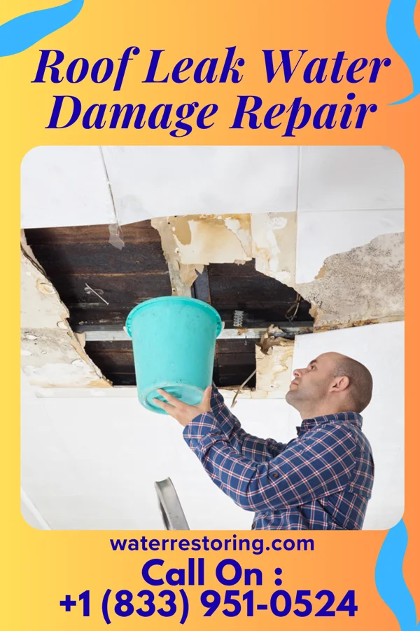 Roof Leak Water Damage Repair in Greenback, TN