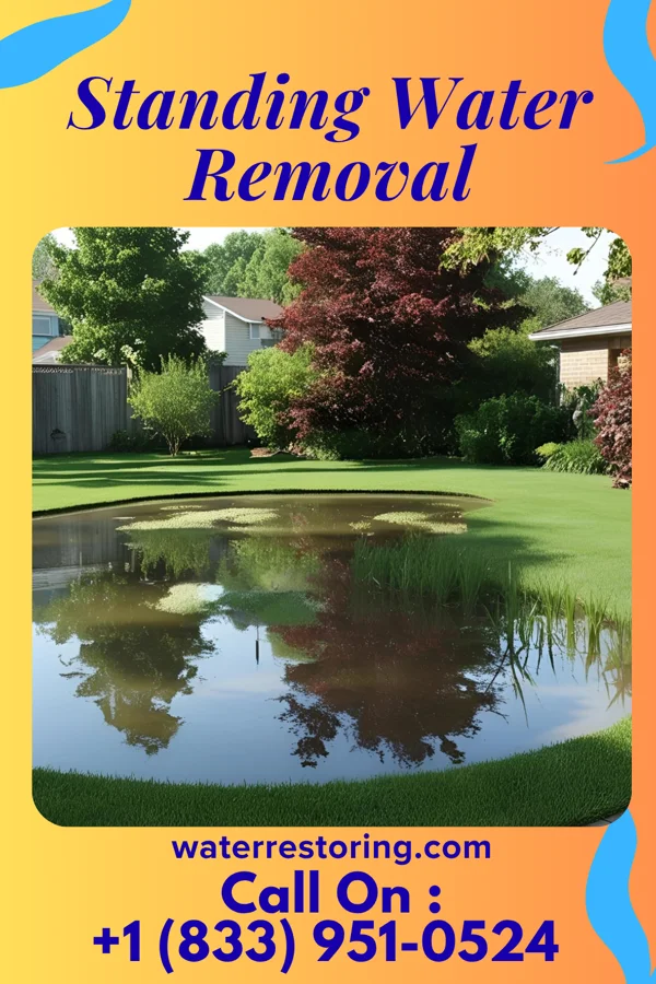 Standing Water Removal in Greenback, TN